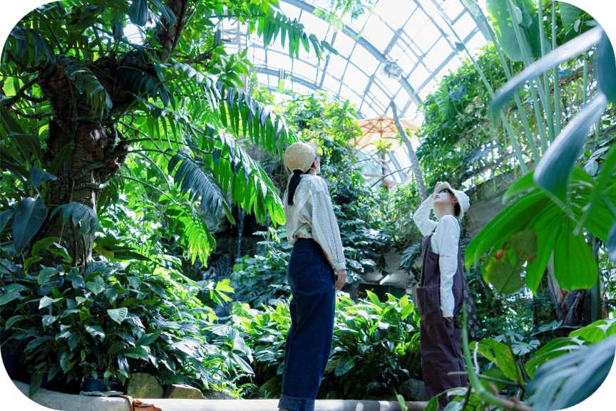 井頭公園の花ちょう遊館の様子