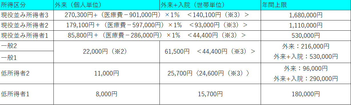 自己負担限度額