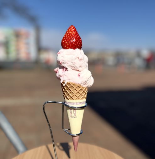 イチゴジェラートの写真