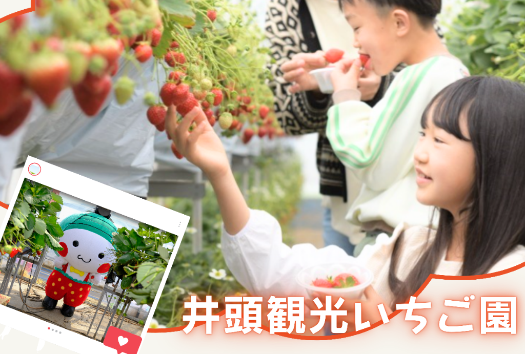 井頭観光いちご園
