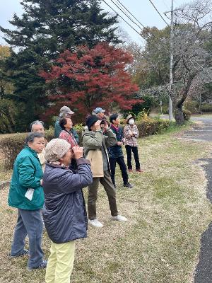 大人たちが自然観察をしている写真です。