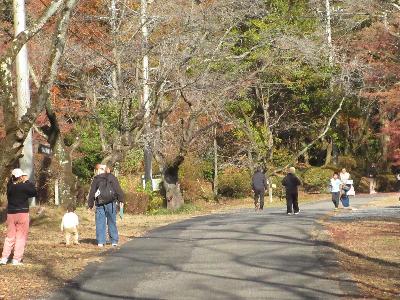 参加者たちが探検クイズをしながら歩いている写真です。