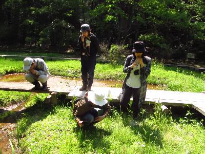 トンボの水辺で草笛をしている参加者の写真です。