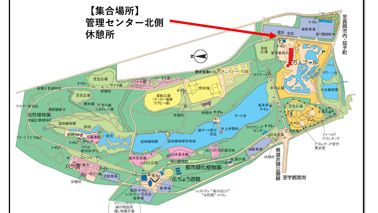 集合場所管理センター北側休憩所