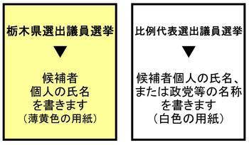 2種類の投票用紙