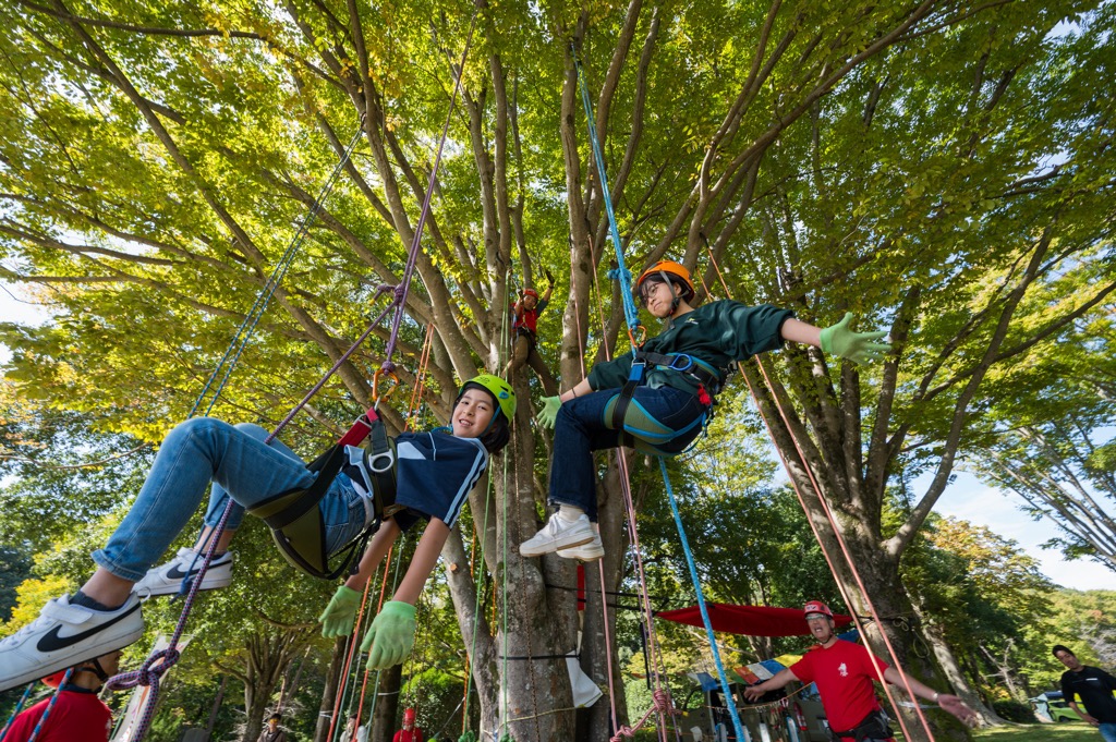子供がツリークライミングをしている画像