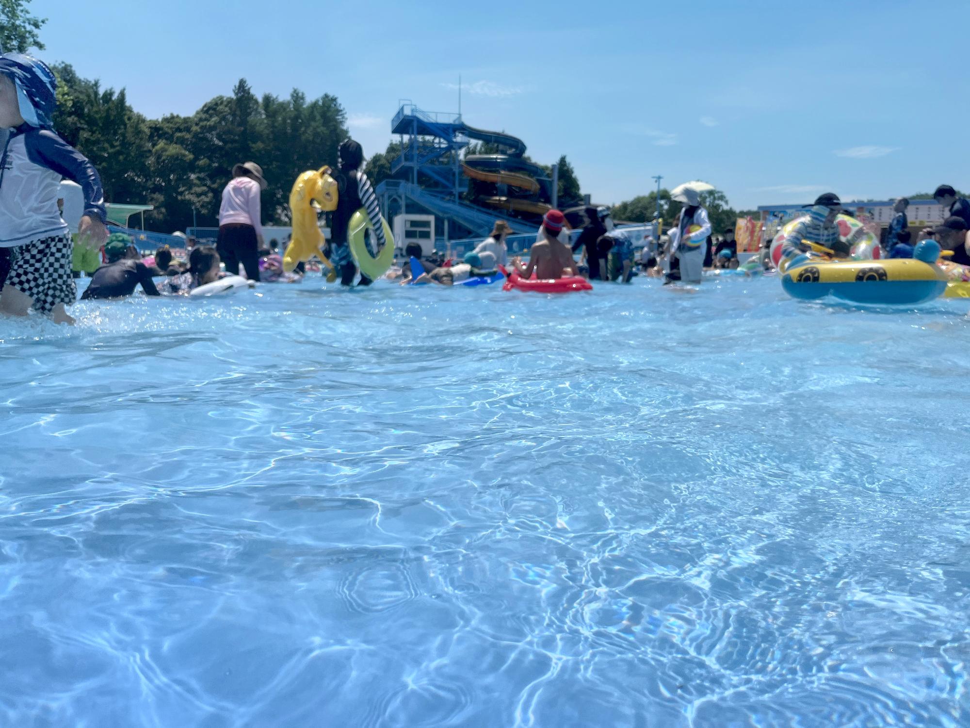 真岡の夏!万プーの夏!