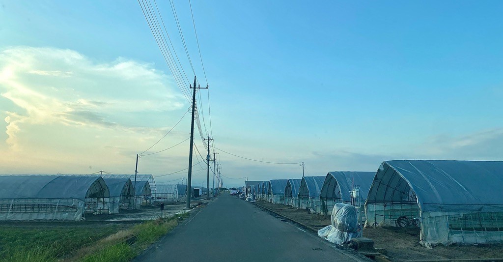 ハウスが並んでいる写真