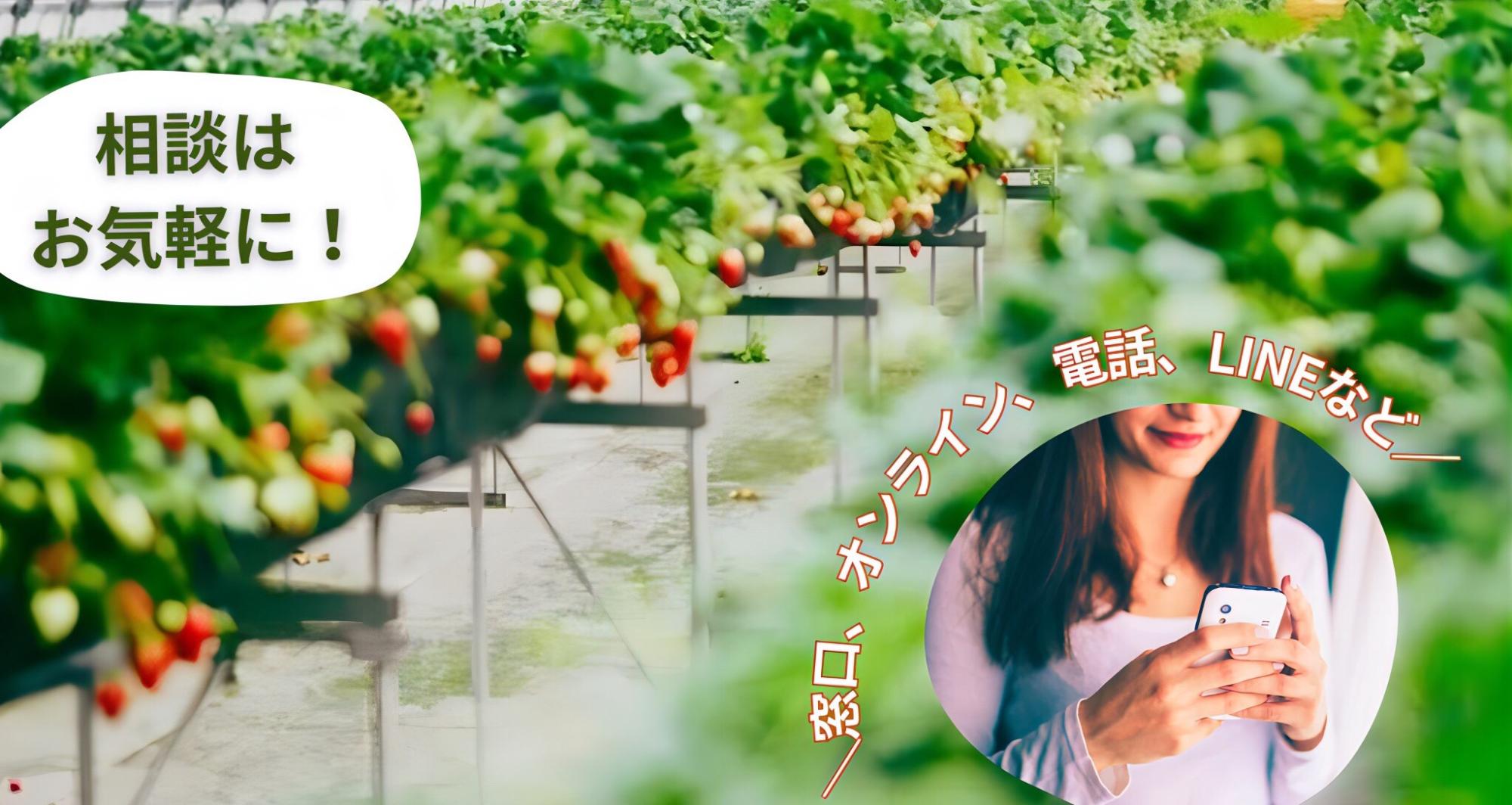 移住相談はお気軽に!バナー