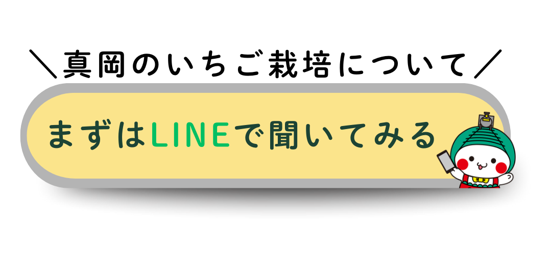 真岡のいちご栽培について、まずはLINEで聞いてみる!