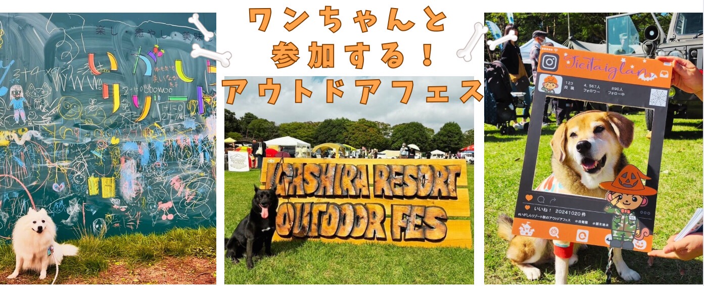 アウトドアフェスでフォトスポットをみつけちゃおう!