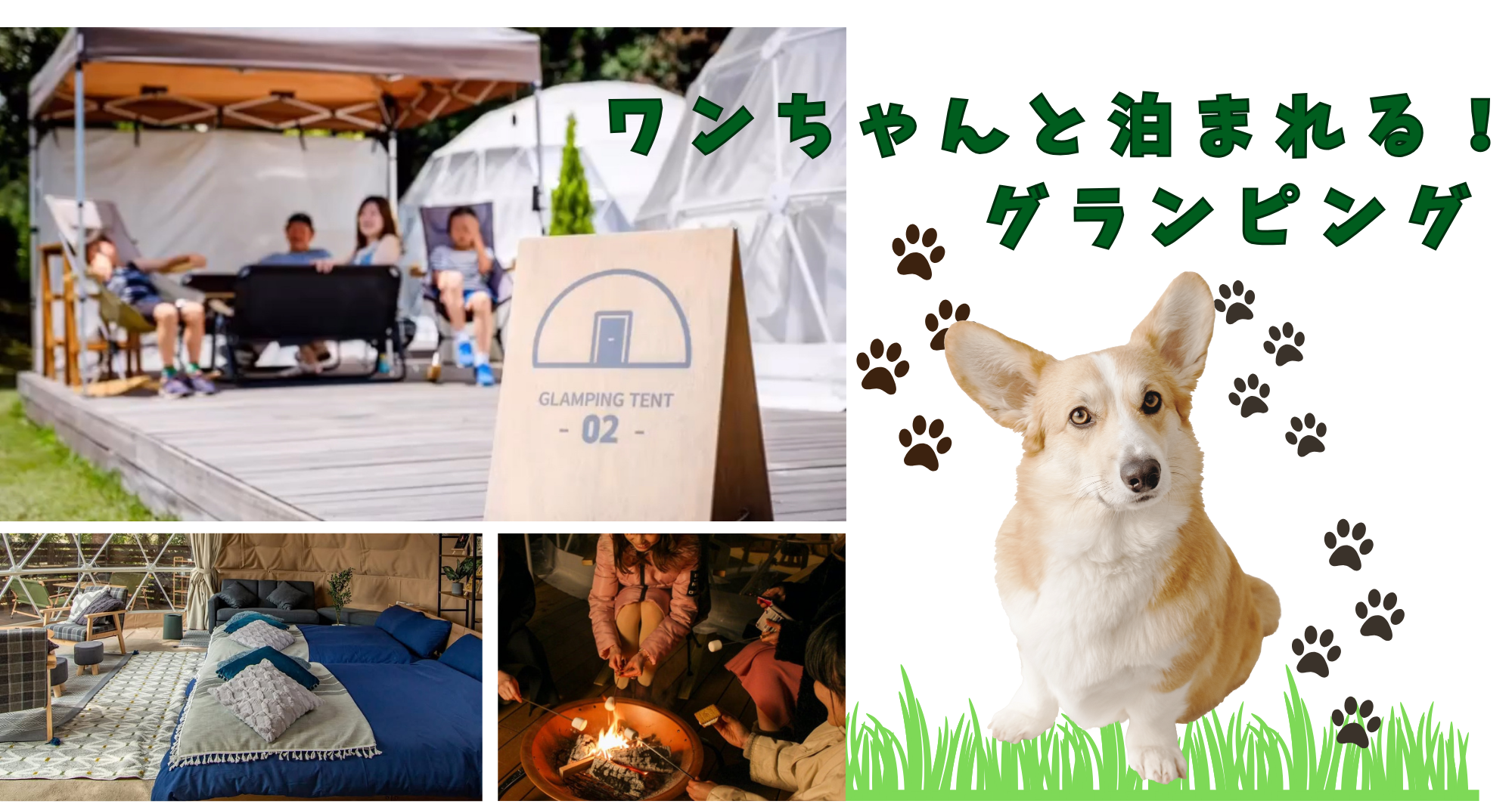 ワンちゃんとお泊るならグランピングがおすすめ!