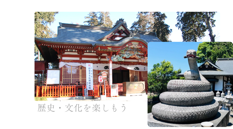 歴史文化を楽しもう