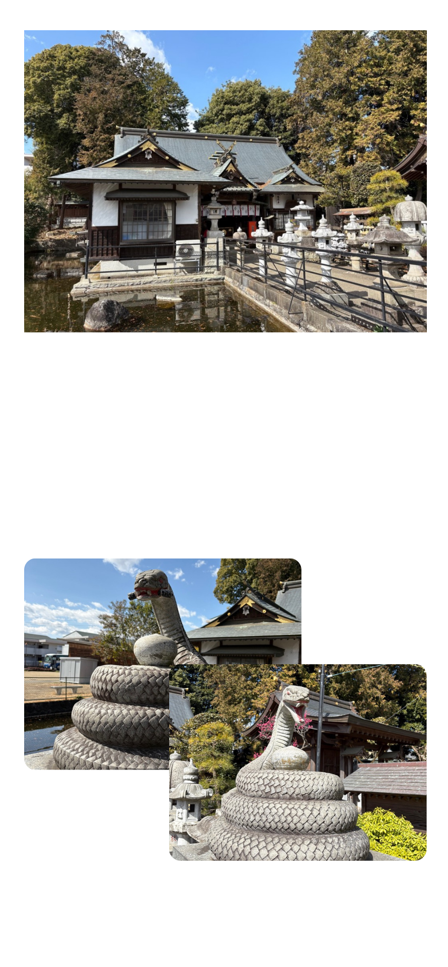 白蛇弁財天のヘビと外観の画像