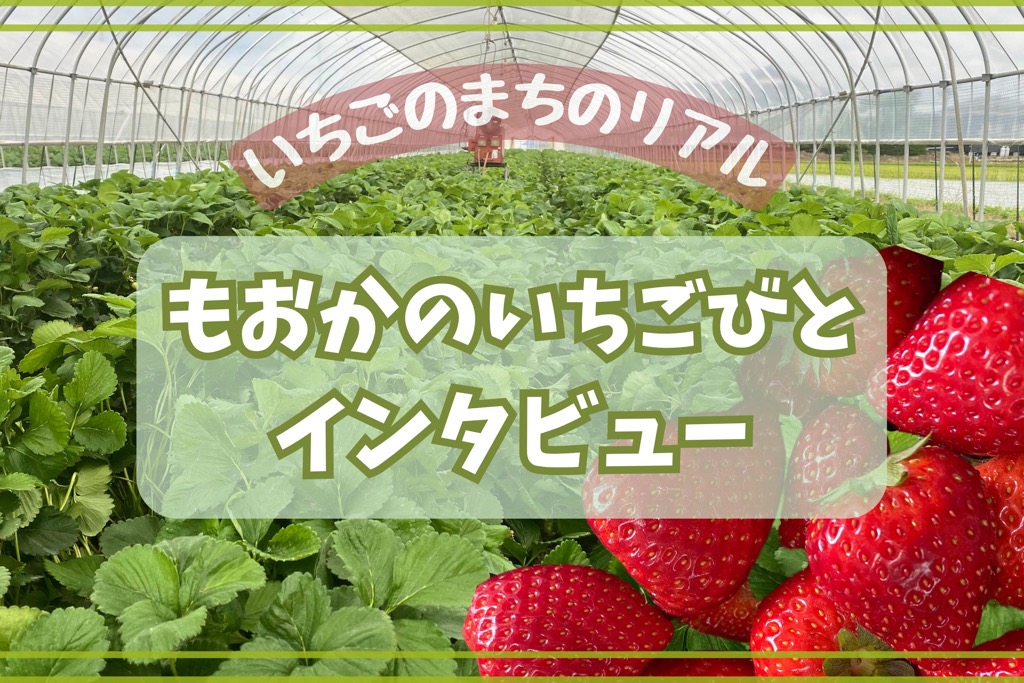 「もおかのいちごびと」インタビュー
