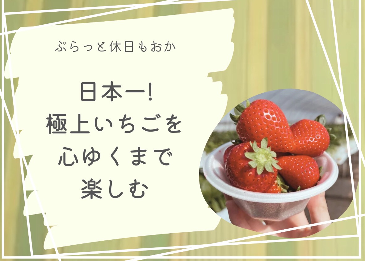 日本一!極上いちごを心行くまで楽しむ