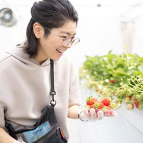 いちご狩りでイチゴを取っている女性