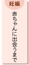 妊娠　赤ちゃんに出会うまで