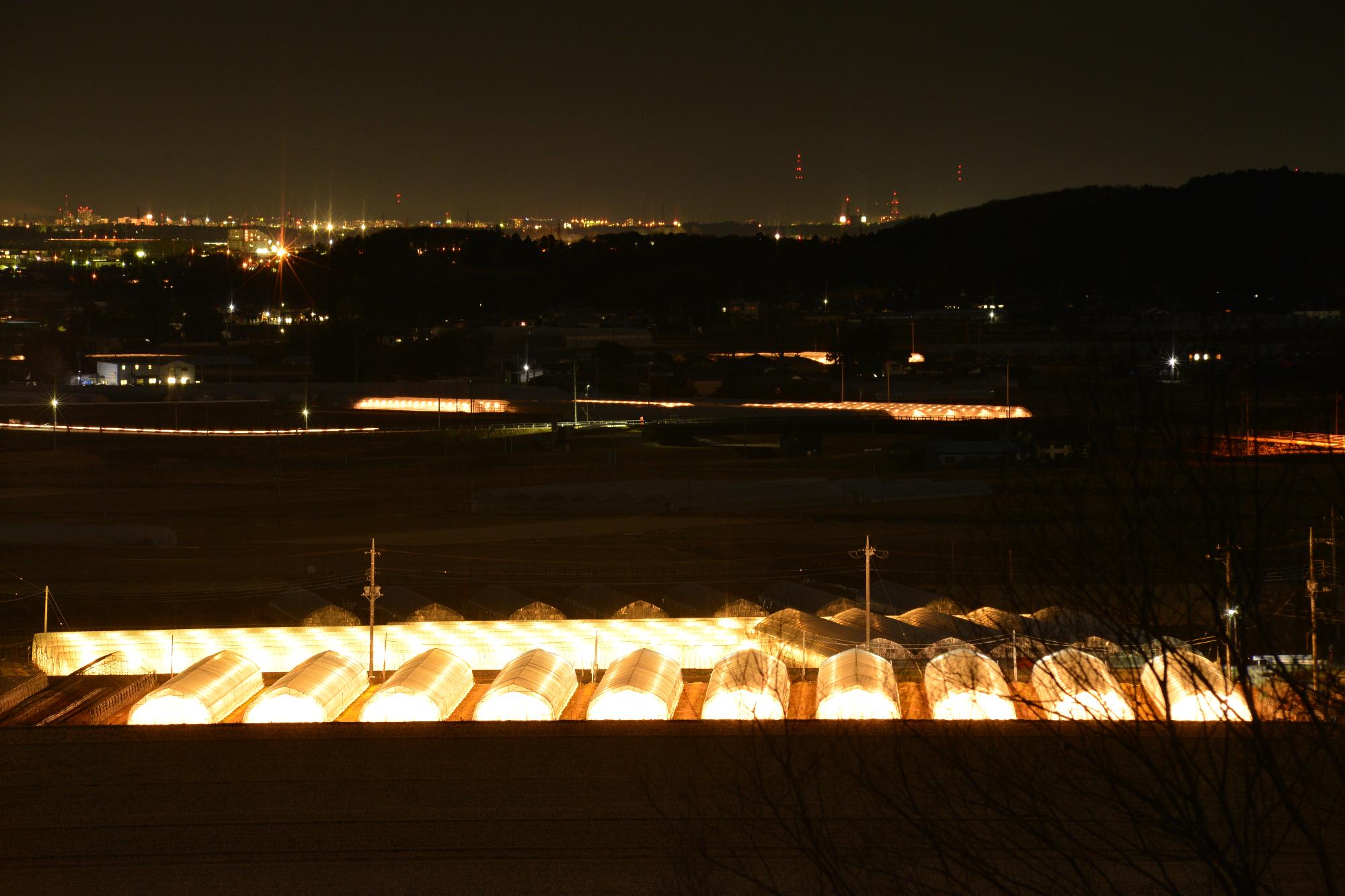 暗闇に灯りが灯っている夜のいちごハウスがたくさん並んでいる様子を写した写真