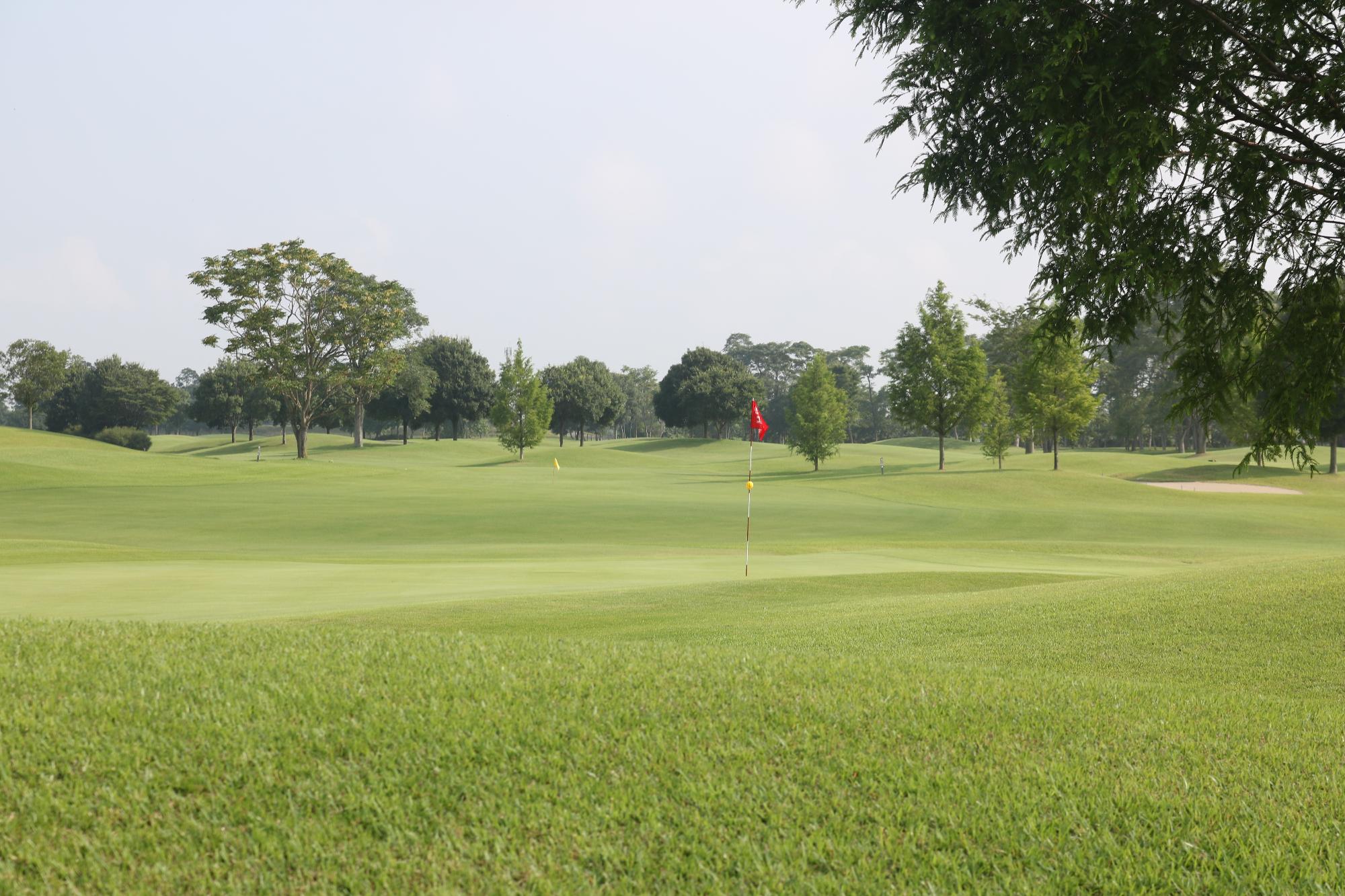 青々とした芝生が整備されたゴルフ場の写真