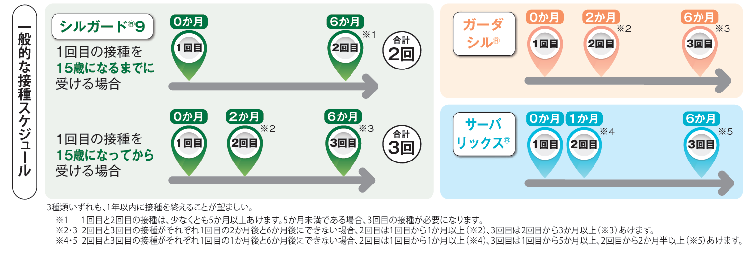 一般的なスケジュール