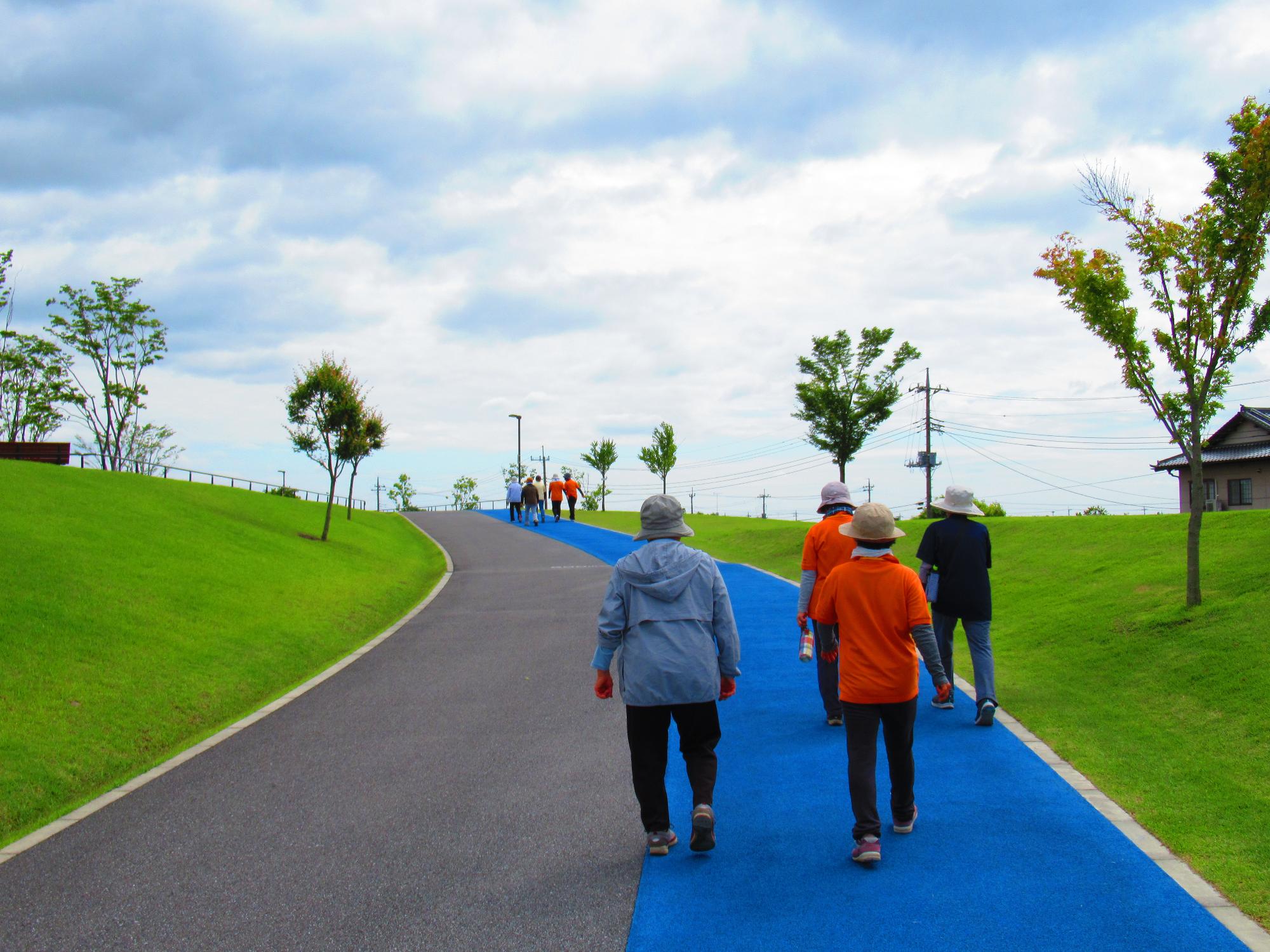 緑の芝生のある広々とした運動公園の遊歩道を参加者の方々が歩いているウォーキングの様子写真