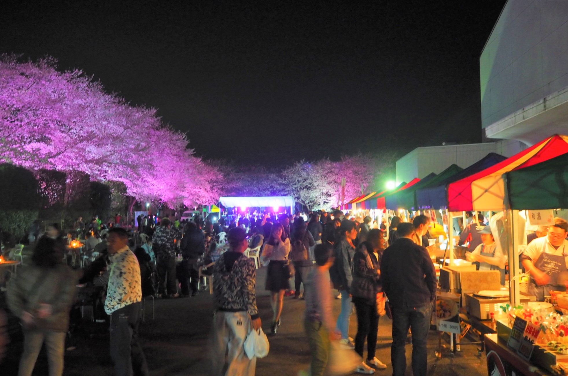 ナイトブロッサム