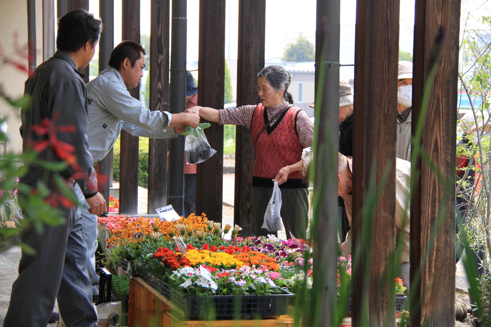 花と緑の市 花木の販売