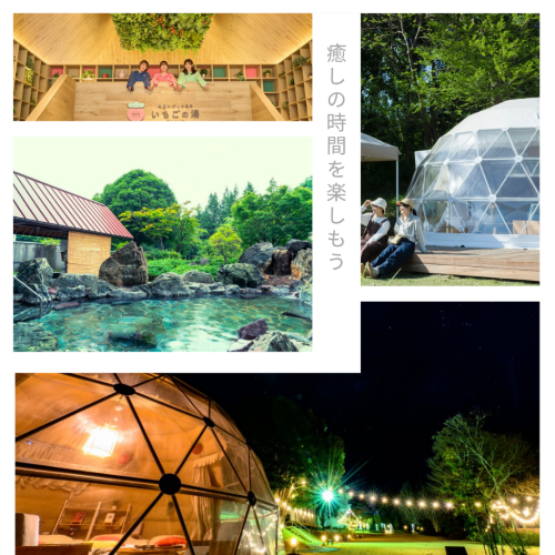 癒しの時間を楽しもう