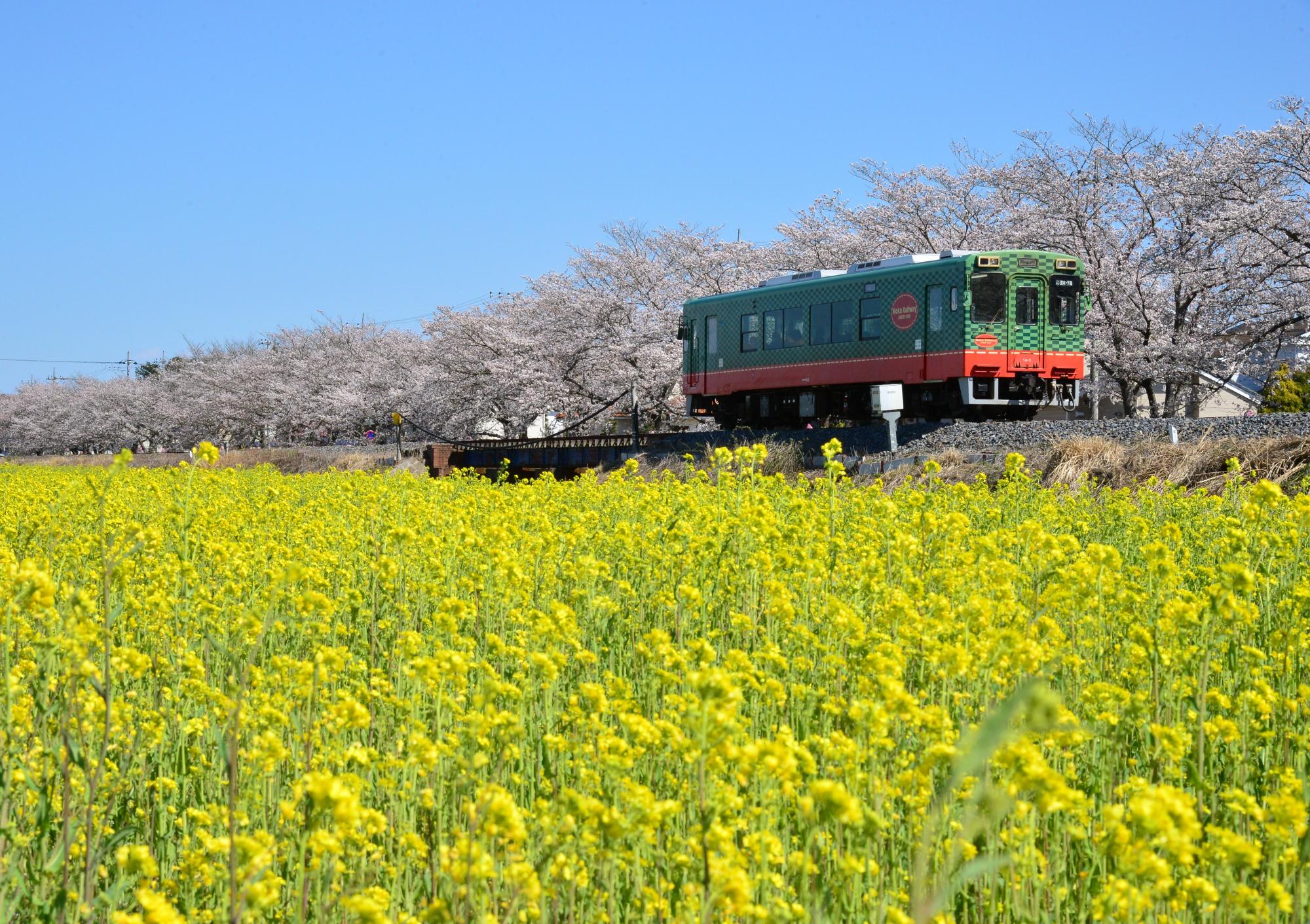 北真岡地域ふれあい祭りの真岡鐵道列車