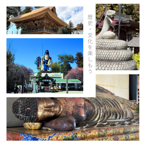 歴史文化を楽しもう