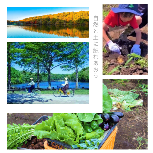 自然と土に触れあおう