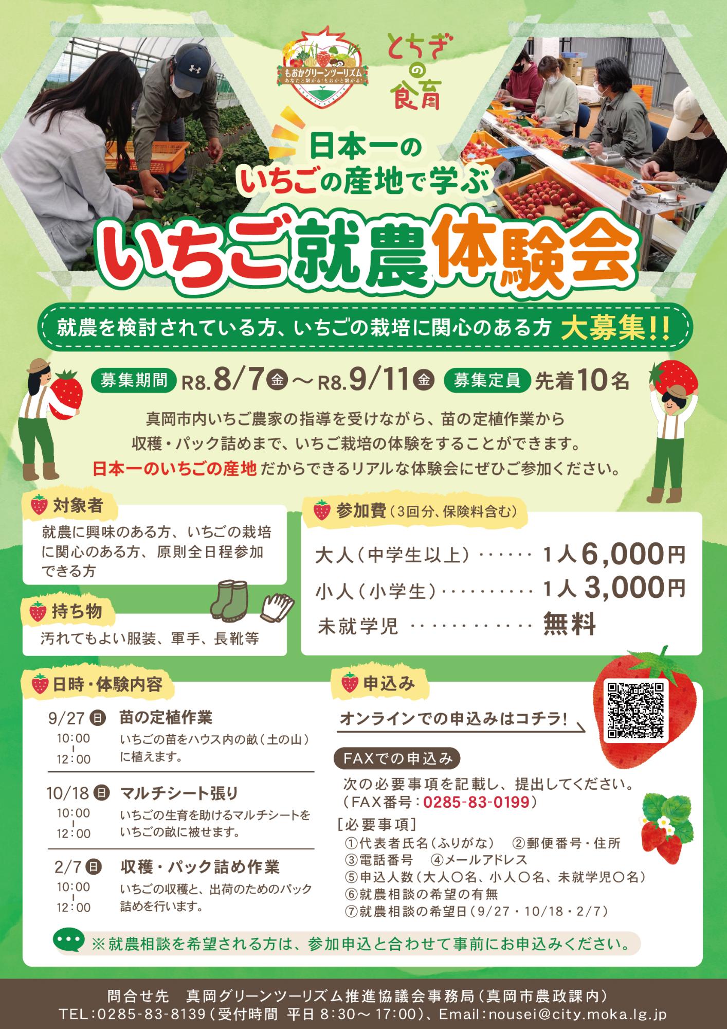 （イメージ）【9月11日締切】真岡グリーンツーリズム「日本一のいちごの産地で学ぶいちご就農体験会」の開催について