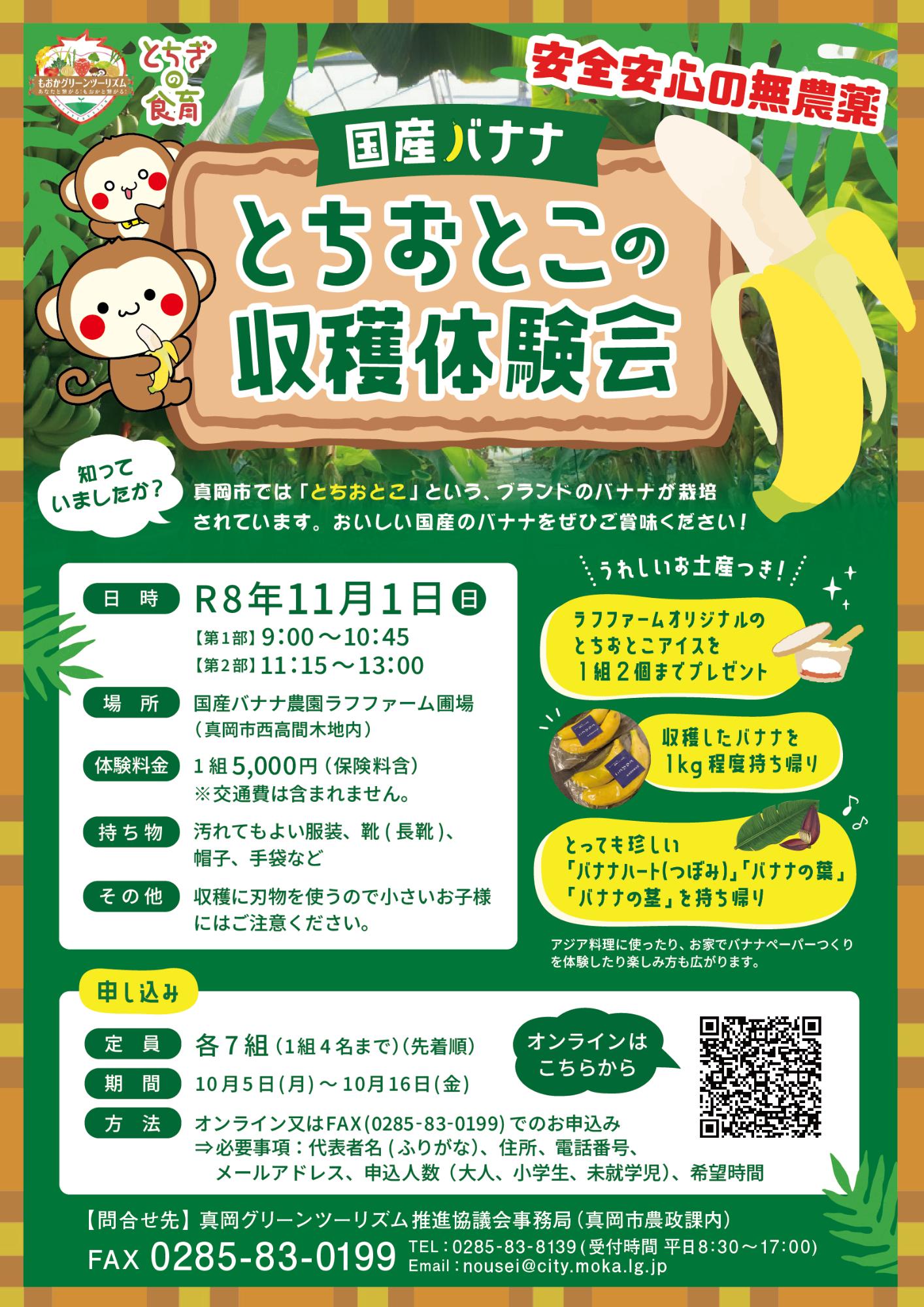 （イメージ）【10月16日締切】真岡グリーンツーリズム  国産バナナ「とちおとこ」の収穫体験会 の開催について