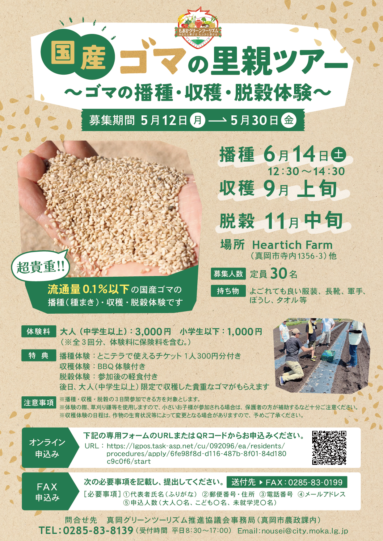 （イメージ）【5月30日締切】真岡グリーンツーリズム「超貴重！国産ゴマの里親ツアー」の開催について