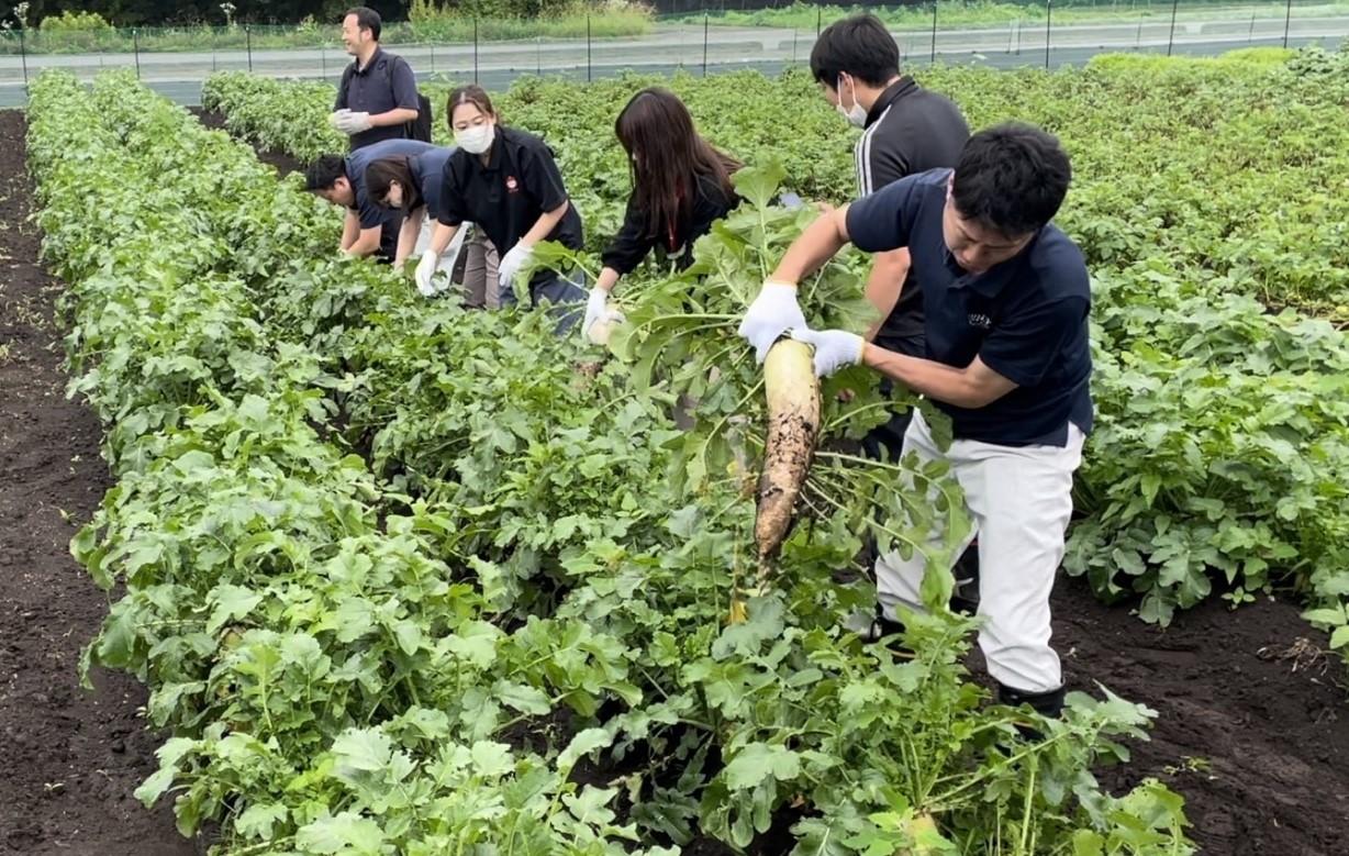 （イメージ）いがしらリゾートに体験農場「いがしらふぁーむ」がオープン！