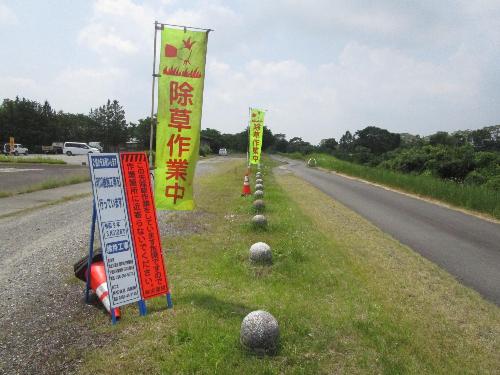 草刈り