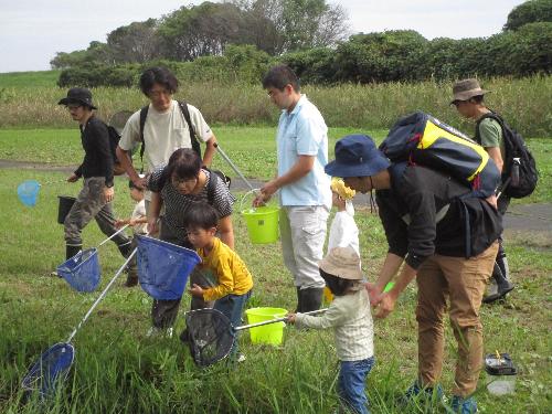 水生昆虫観察会3