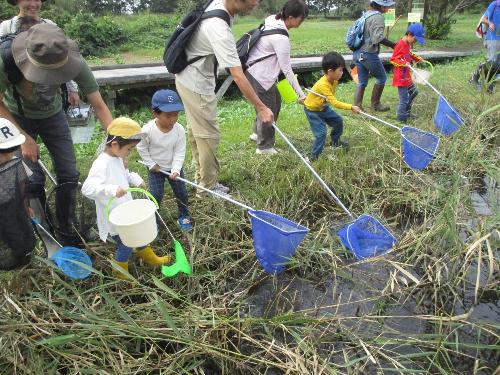 水生昆虫観察会3