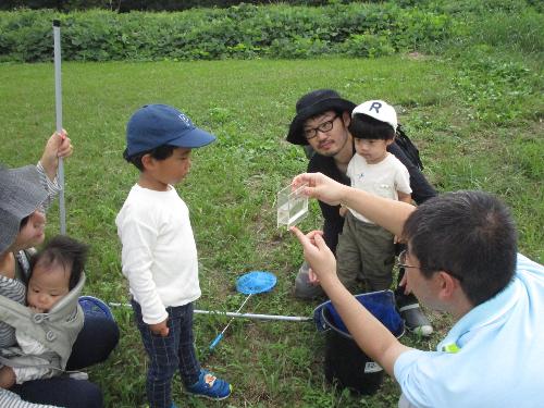水生昆虫観察会4