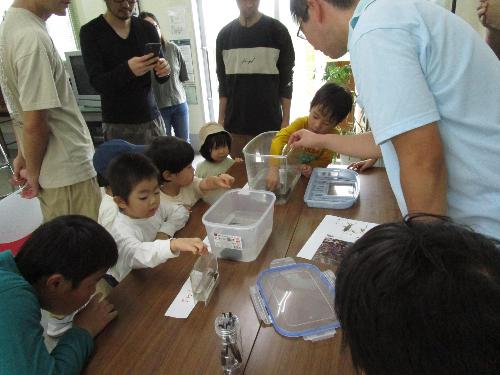 水生昆虫観察会8