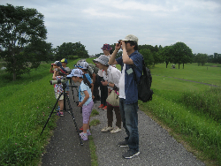 参加者がカイツブリを観察している写真です。