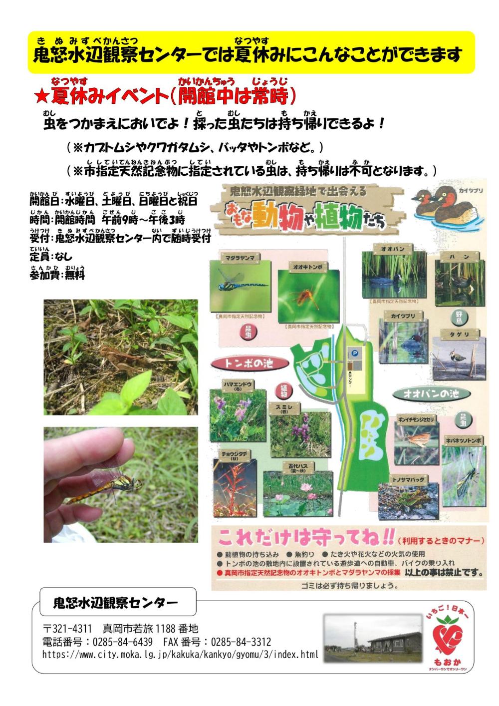 真岡市鬼怒水辺ふれあい観察会の案内です。