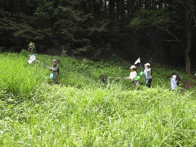 草むらを歩いている子どもたちの写真です。