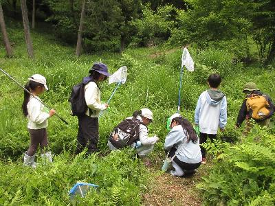 子どもたちが草むらに集まってしゃがんでいる写真です。