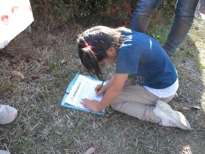 女の子が回答用紙に絵を描いている写真です。