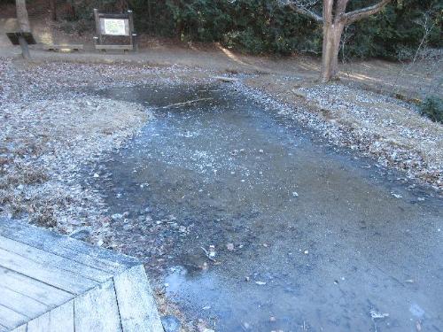 池が凍っている写真です。
