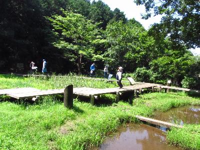 参加者がトンボを探している写真です。