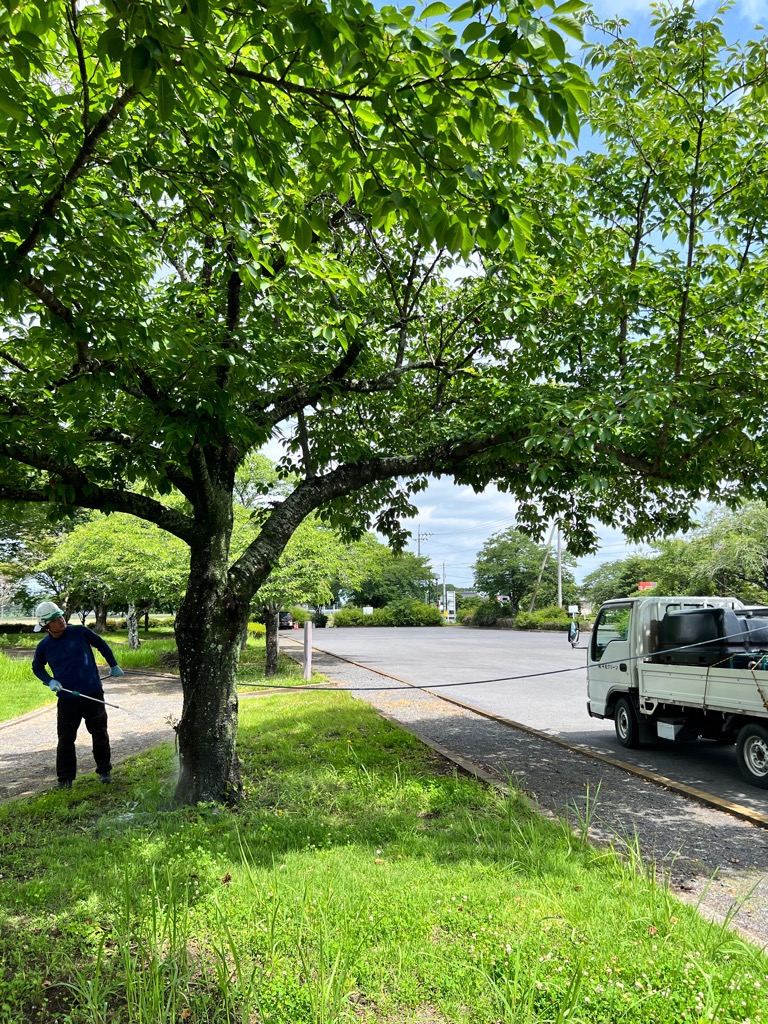 公園での散布