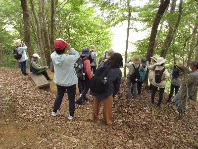 眺めを楽しんでいる様子の写真です。